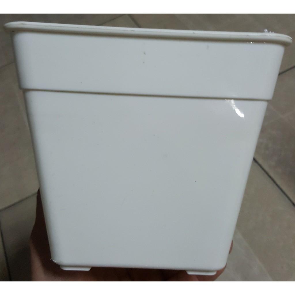 Chậu vuông 14x12