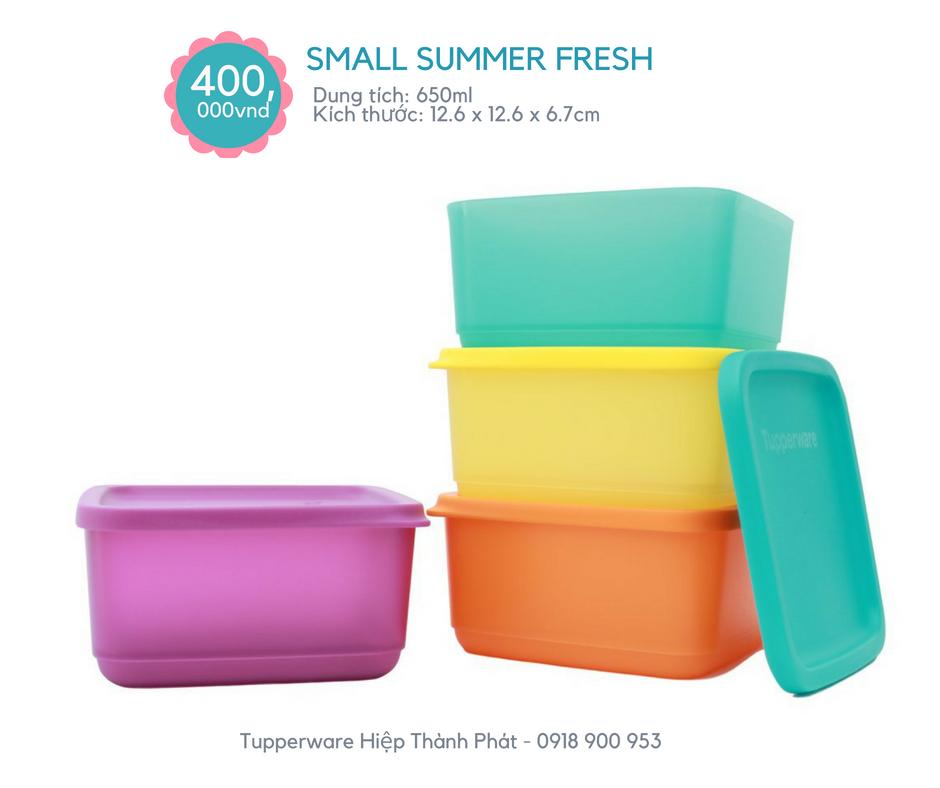 Hộp Tupperware Small Summer Fresh