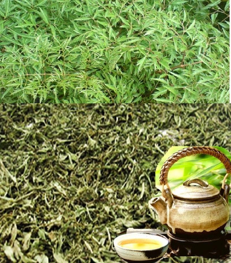 Trà lá đinh lăng - thảo lộc - túi 200g