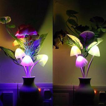 Đèn Ngủ Cảm Ứng Hoa Nấm Cao Cấp By Muaonlineshop