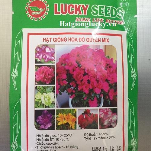 Hạt Giống Hoa Đỗ Quyên Mix- Lucky. Mỗi Túi 30 Chất Lượng Cao.