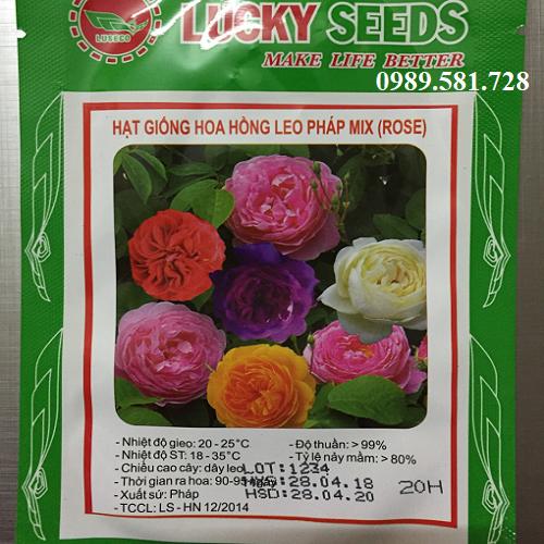 Hạt Giống Hoa Hồng Leo Pháp Mix (Nhiều Màu) - Lucky. Gói Lớn 20 Hạt Chất Lượng Cao.