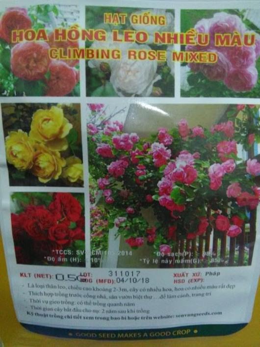Hạt giống hoa hồng leo Pháp nhiều màu - gói 0.5gr