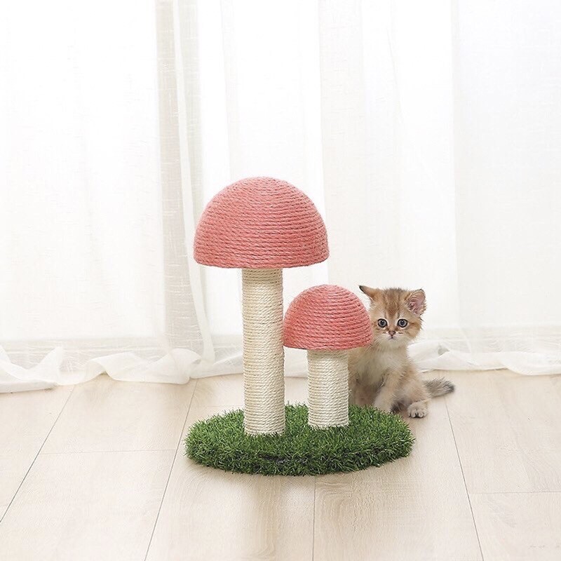 Trụ cào móng cây nấm cao cấp cho mèo  Giao màu ngẫu nhiên