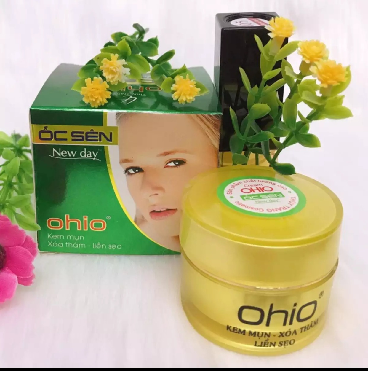 [HCM]Kem Mụn - Xóa Thâm - Liền Sẹo - Ohio Ốc Sên New Day (15g)