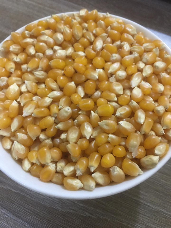 Combo 2kg bắp nổ mỹ dùng làm bắp rang bơ