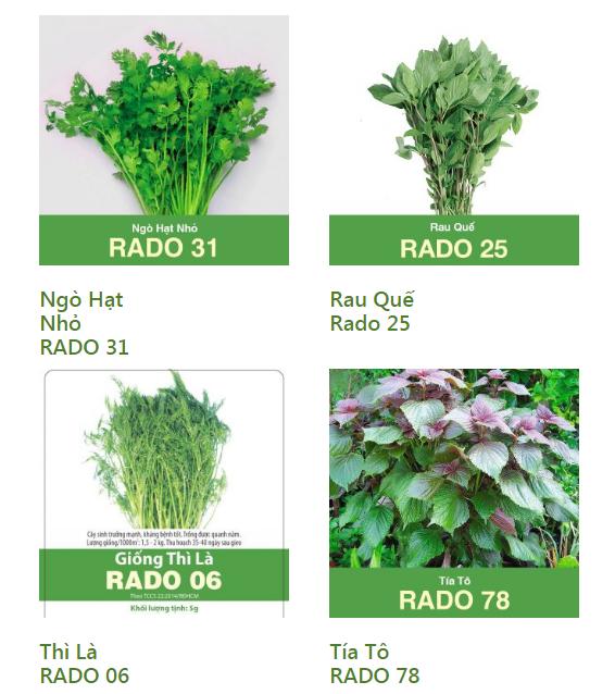 [HCM]COMBO 4 GÓI GIA VỊ : TÍA TÔ -NGÒ THƠM-THÌ LÀ-RAU QUẾ_DỄ TRỒNG .