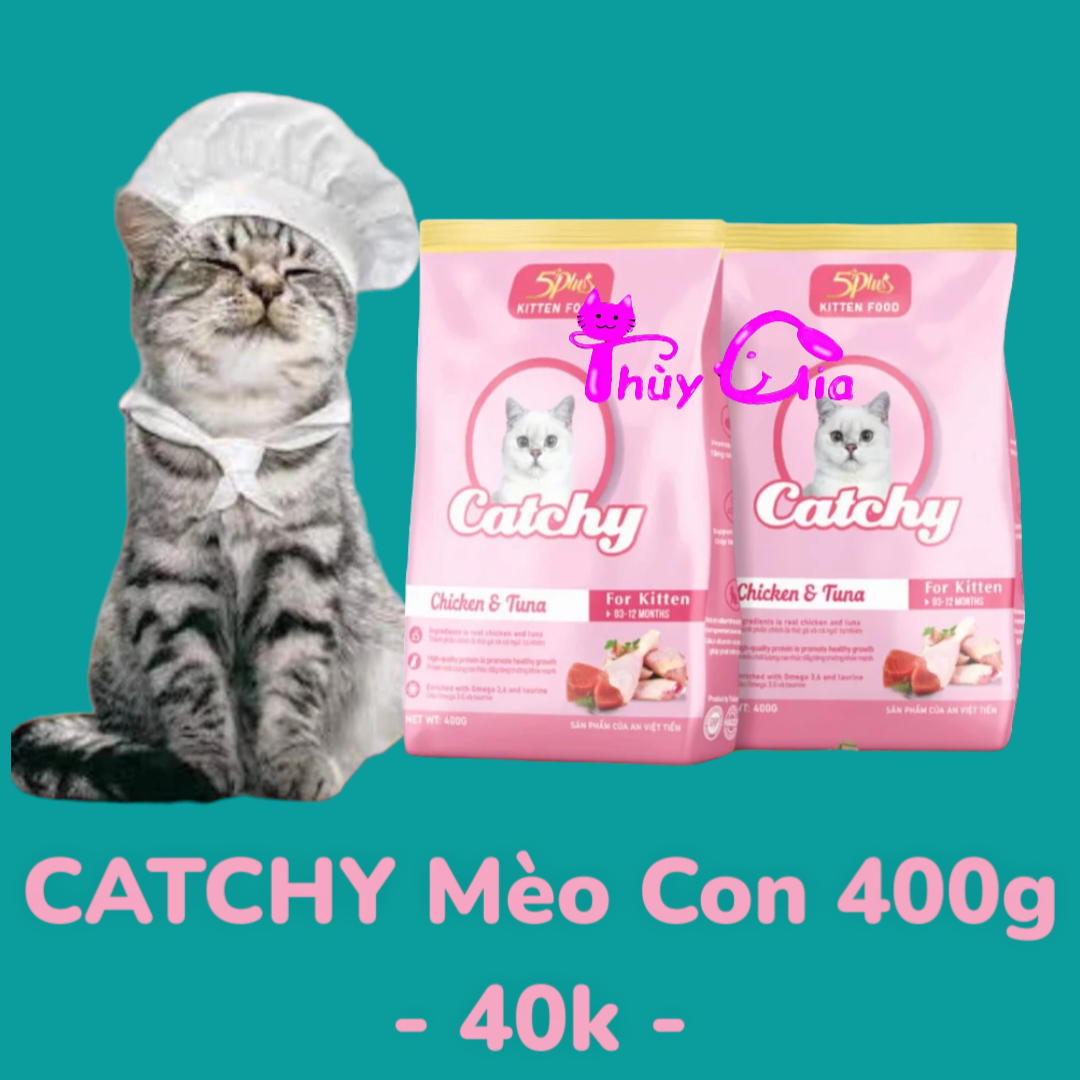 Hạt Cho Mèo Con Catchy Kitten | Túi 400g | Hạt Dinh Dưỡng Cho Mèo Con