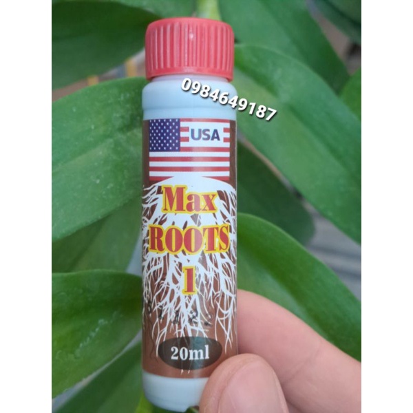 Kích rễ dùng cho cây cảnh, các loại hoa Max root 1 20ml - Kích rễ kích keiki