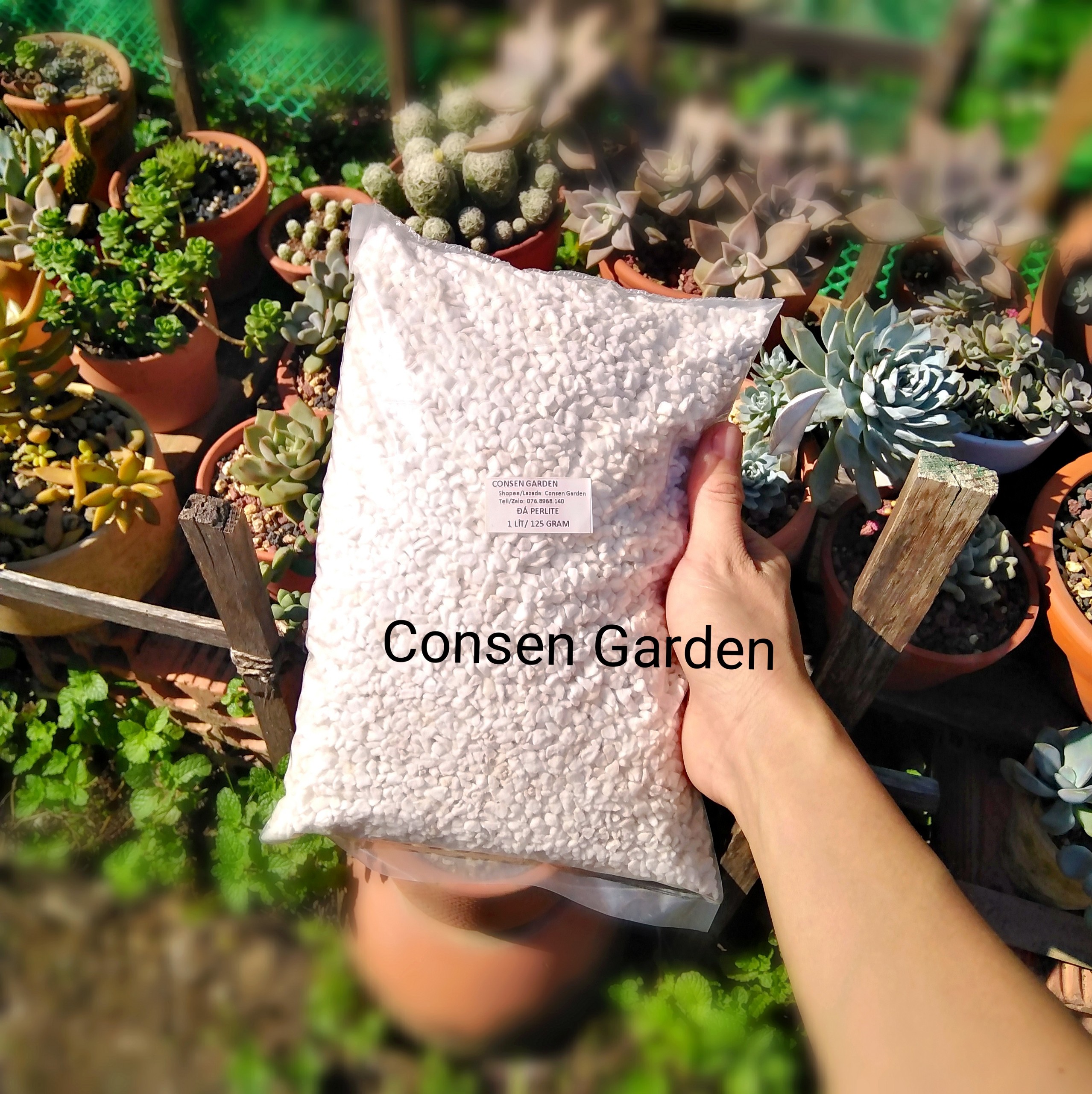 Túi 125 gram đá perlite, đá trân châu tơi xốp trộn giá thể trồng sen đá cực tốt