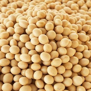 1kg hạt đậu nành giữ dáng, làm đẹp da