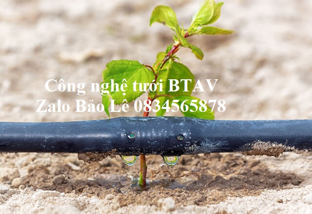 1000m dây tưới nhỏ giọt 16mm khoảng cách 50cm hàng cao cấp -cuộn 1000m