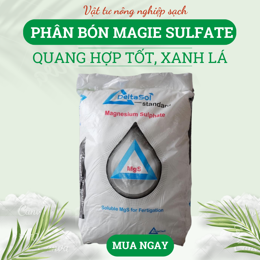 1kg Phân bón Delta Magie Sulfate giúp cây xanh lá, chống rụng lá