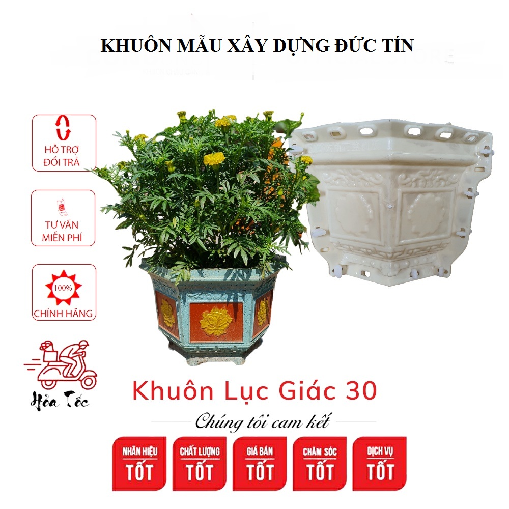Khuôn chậu Lục giác 30cm đầy đủ lòng trong, thi công dễ dàng