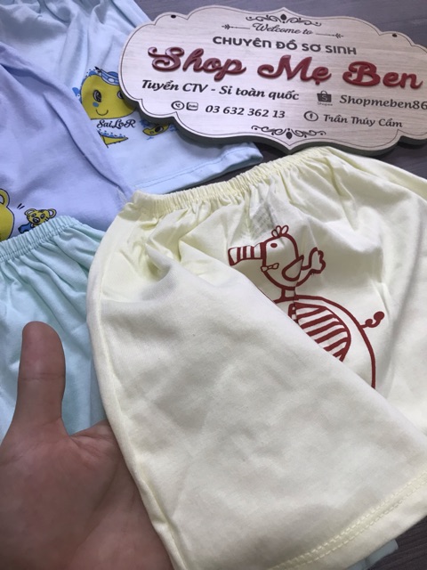 [HCM]Quần đùi Mông thú Cater chất đẹp 100% cotton thấm hút mồi hôi