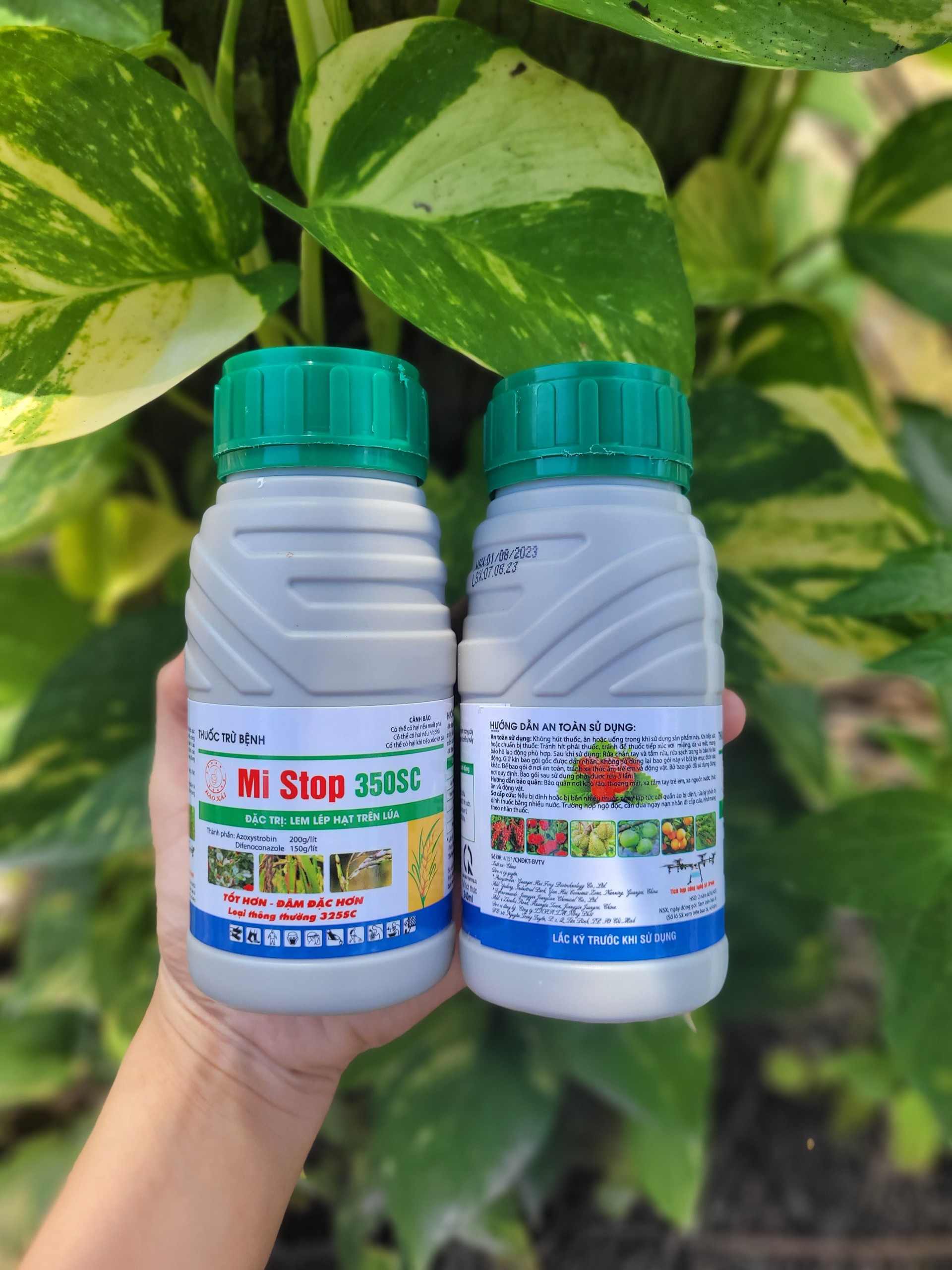 [TRUNG THIEN THINH] Mi Stop 350SC ( Mistop ) thuốc trừ bệnh lem lép hạt lúa, rỉ sắt, khô vằn, thán thư chai 240ml