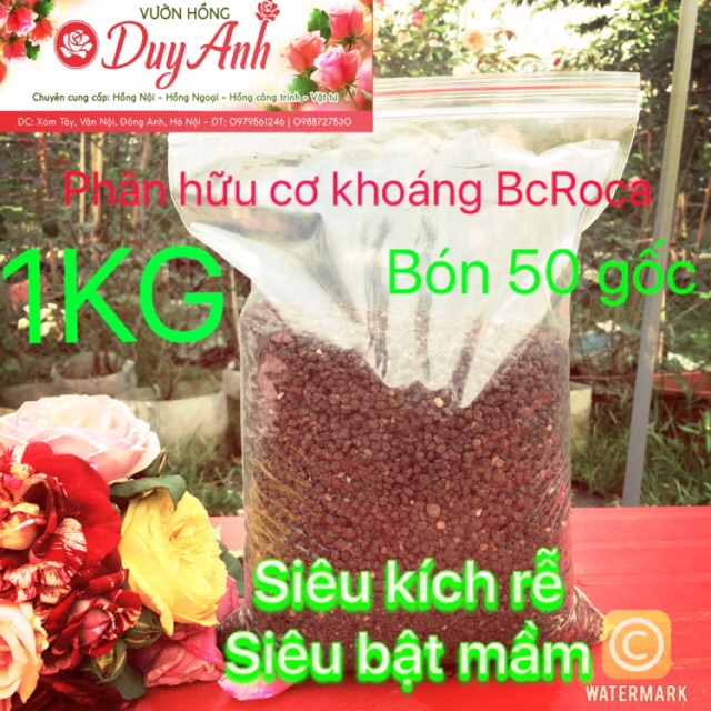 Phân bón hoa hồng hữu cơ khoáng BcRoca 1kg Siêu kích Rễ, Siêu Bật Mầm.