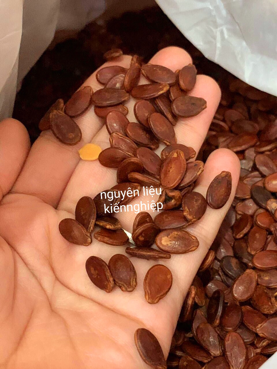 Hạt dưa không màu gói 500 gram