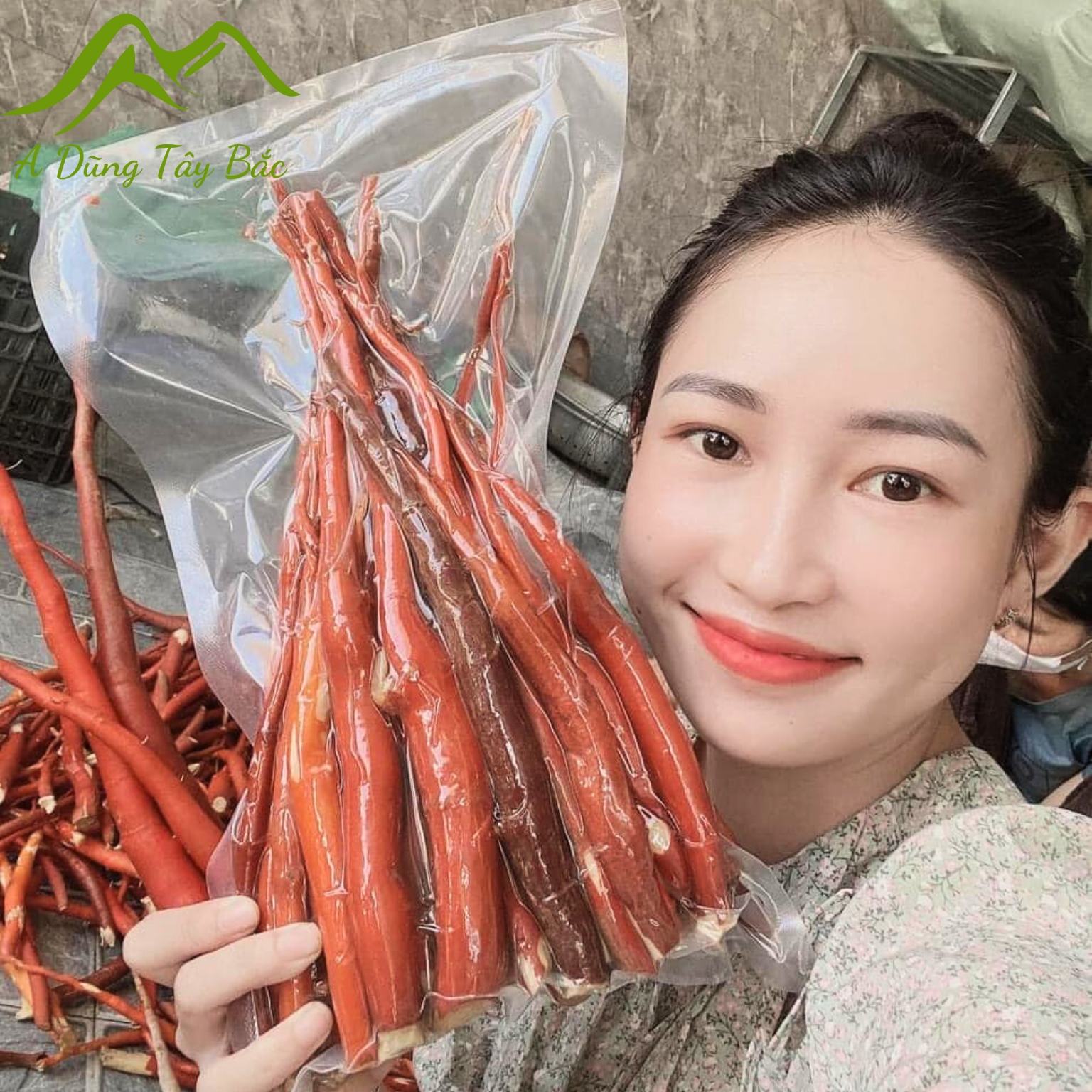 Sâm cau đỏ rừng tươi ngâm rượu loại 1 1kg, đã làm sạch, hút chân không, khai thác rừng sâu Tây Bắc giúp tăng cường sinh lý nam