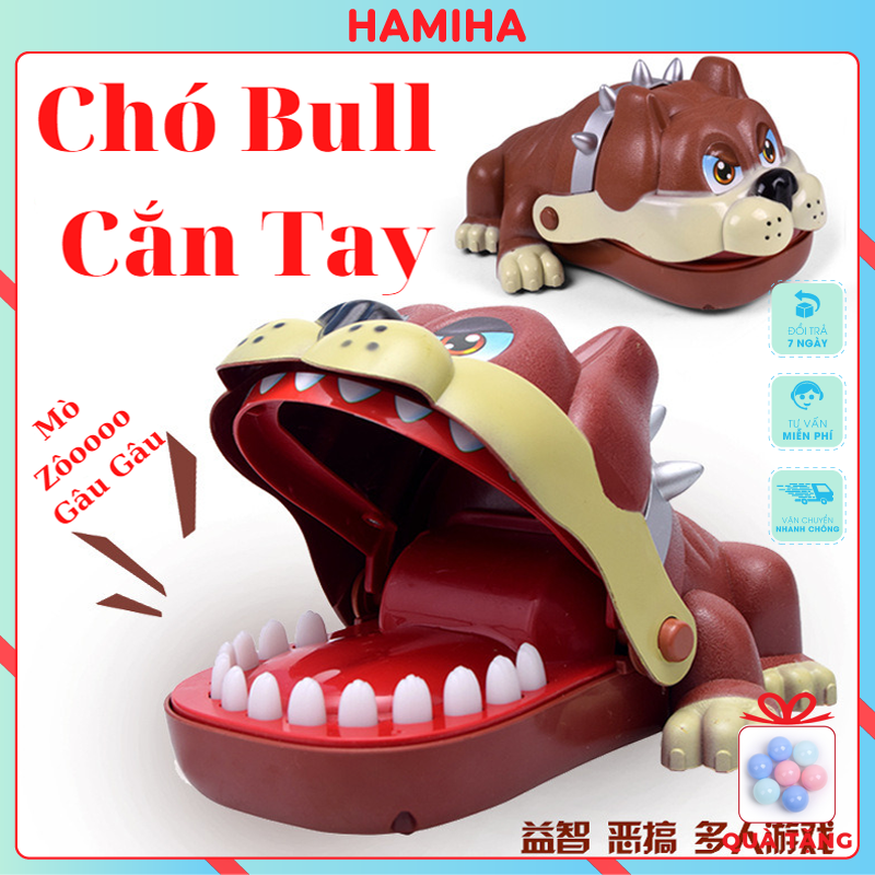 Đồ chơi khám răng chó bull và nhiều loại khám răng hấp dẫn