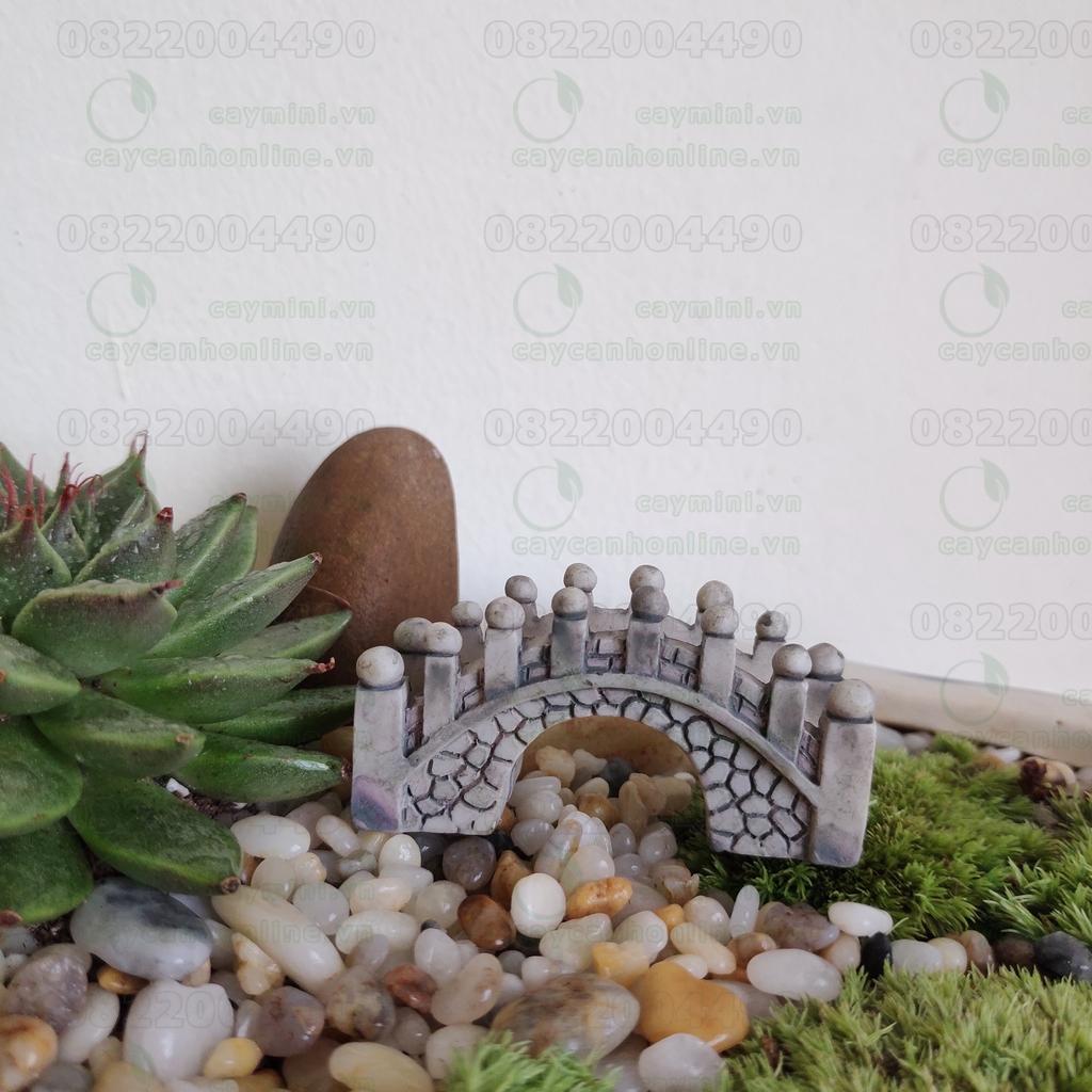 Cây cầu - Phụ kiện trang trí Terrarium