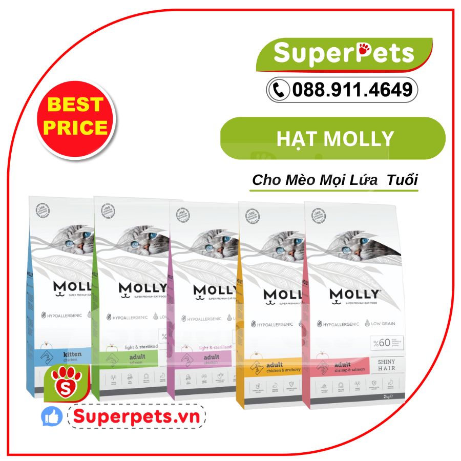 Thức Ăn Hạt Cho Mèo Molly 2kg - SUPERPETS VIỆT NAM