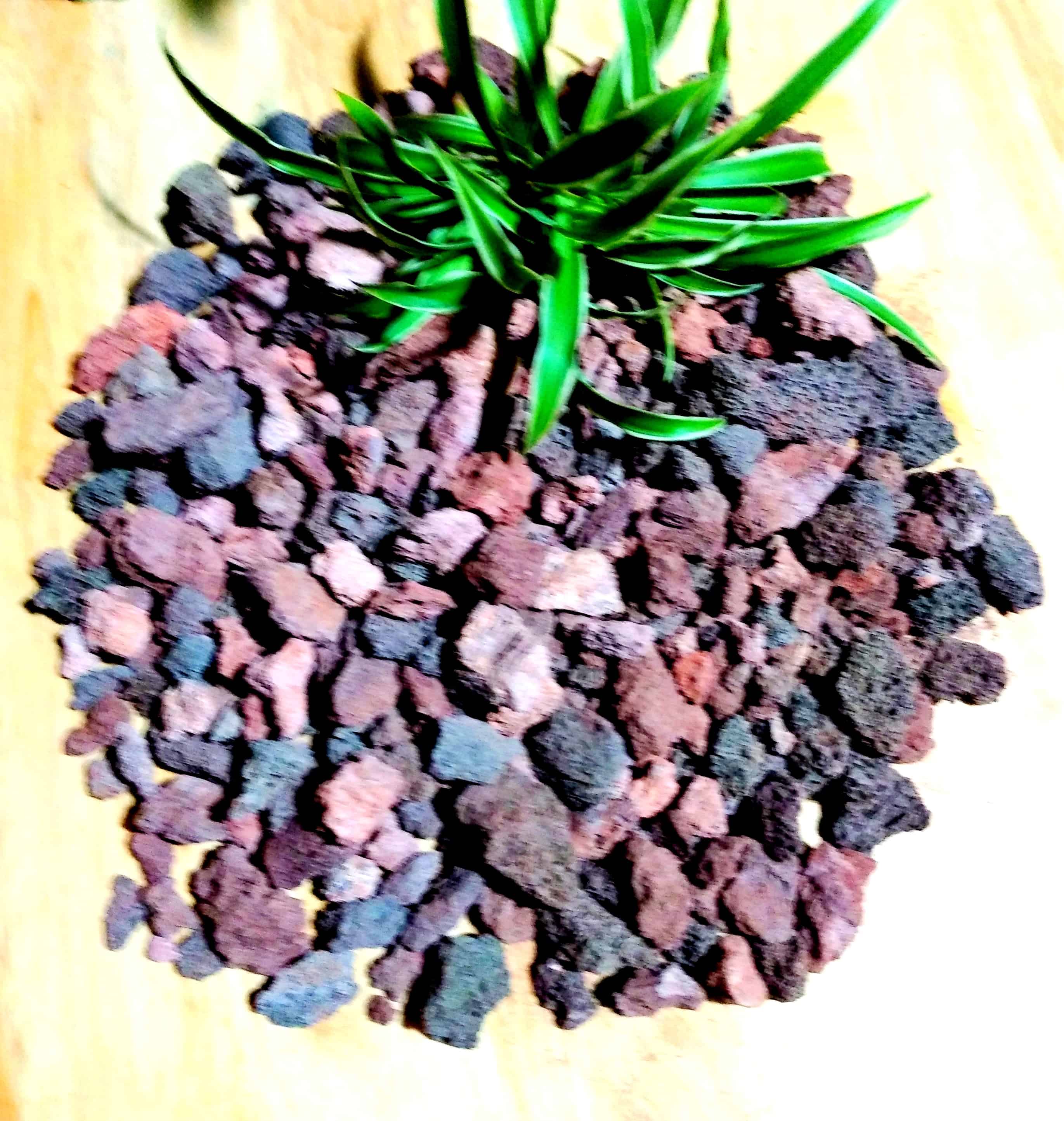 [HCM]Đá núi lửa nham thạch giá thể trồng lan sen đá xương rồng 1kg