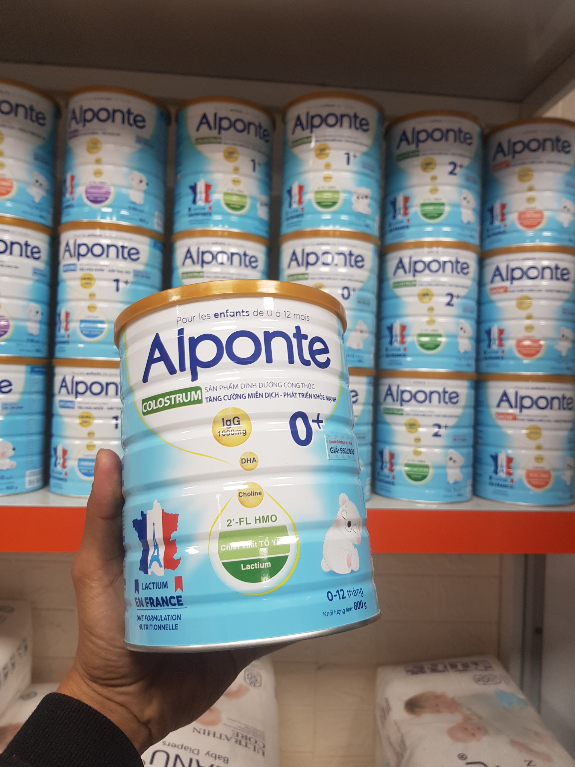 Sữa Alponte Colostrum 0+ 800g trẻ 0 -12 tháng