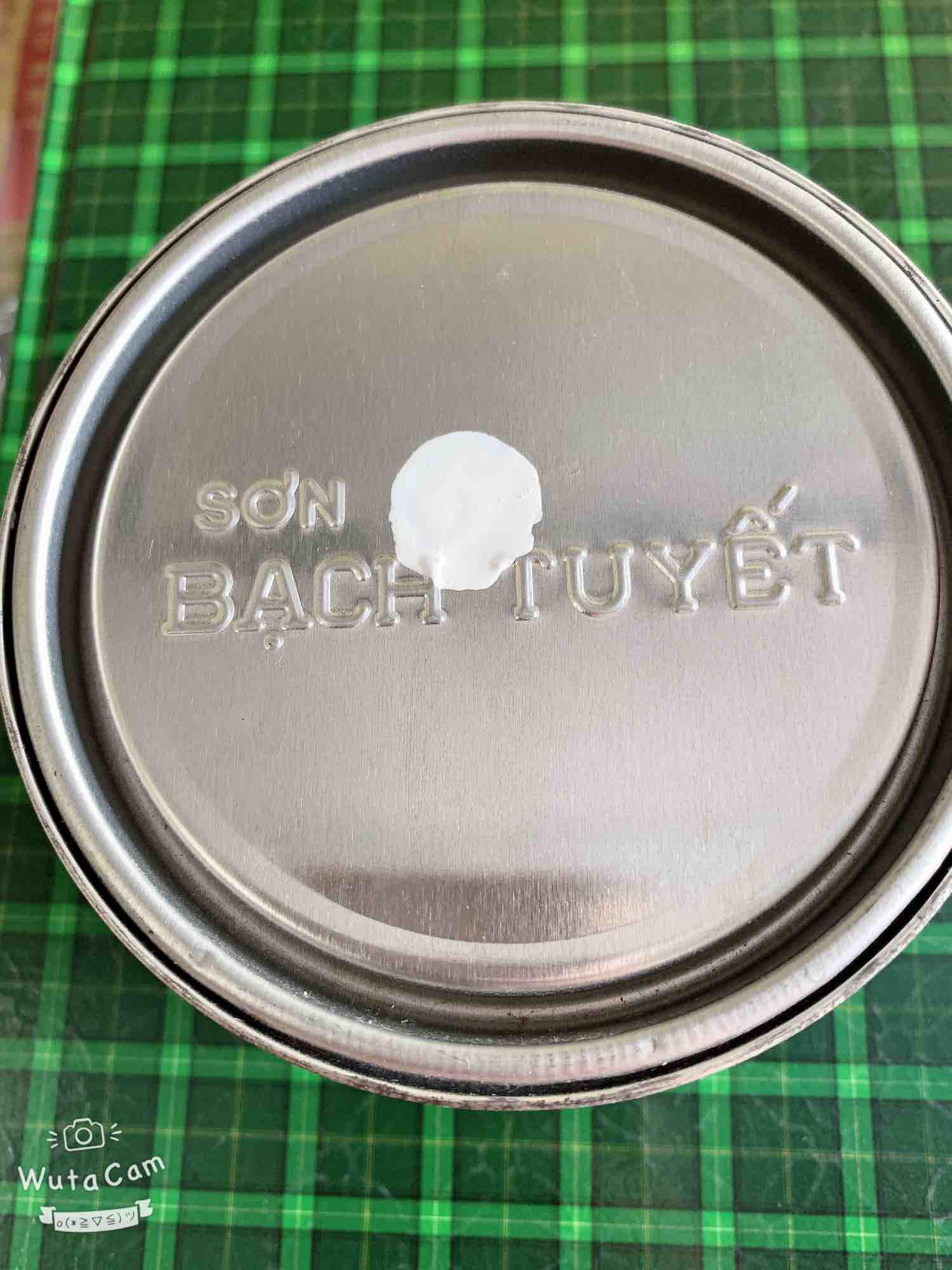 Sơn dầu Bạch Tuyết màu Trắng-100 (Ankyd bóng 800gr)