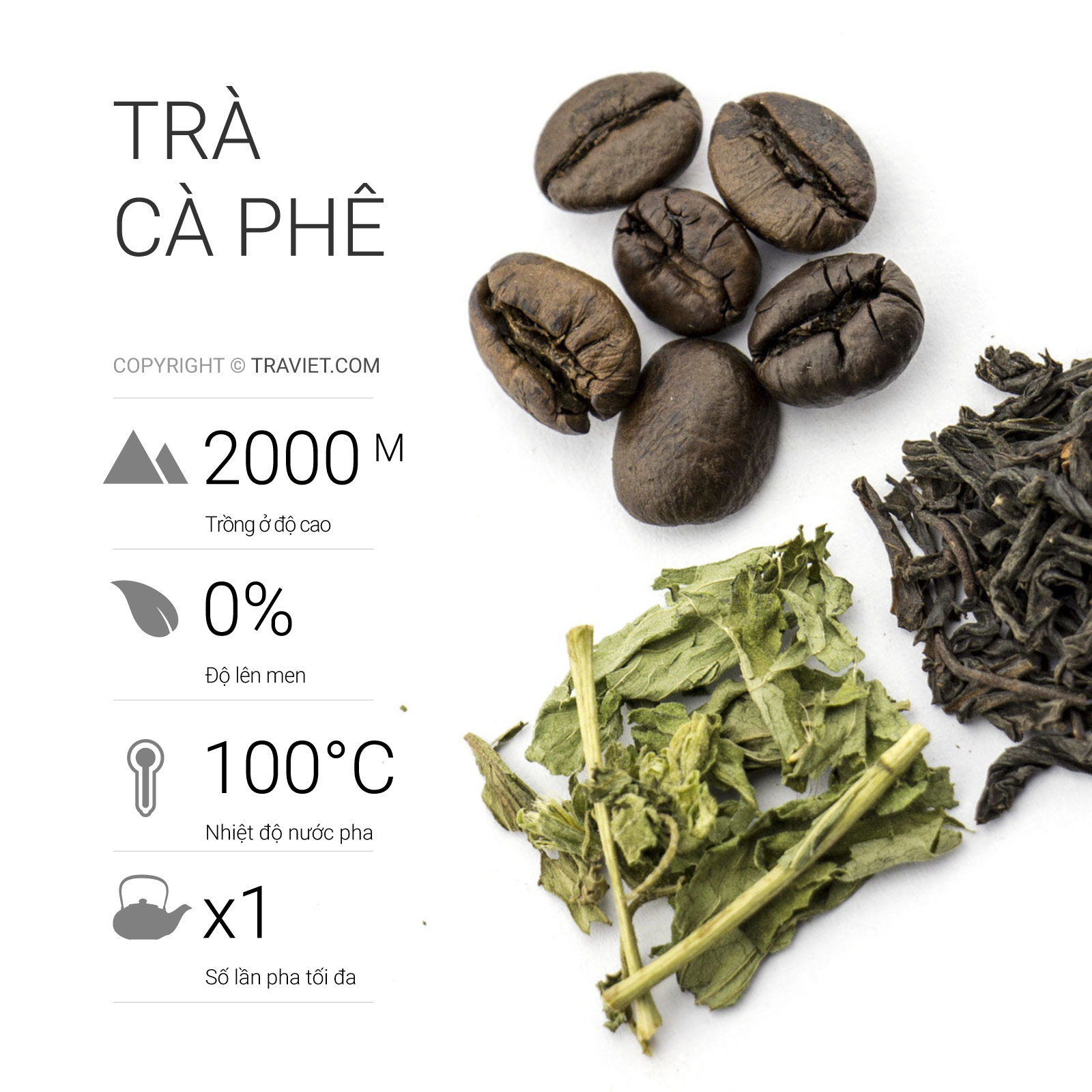 Trà việt hộp trà cà phê cao cấp 100g
