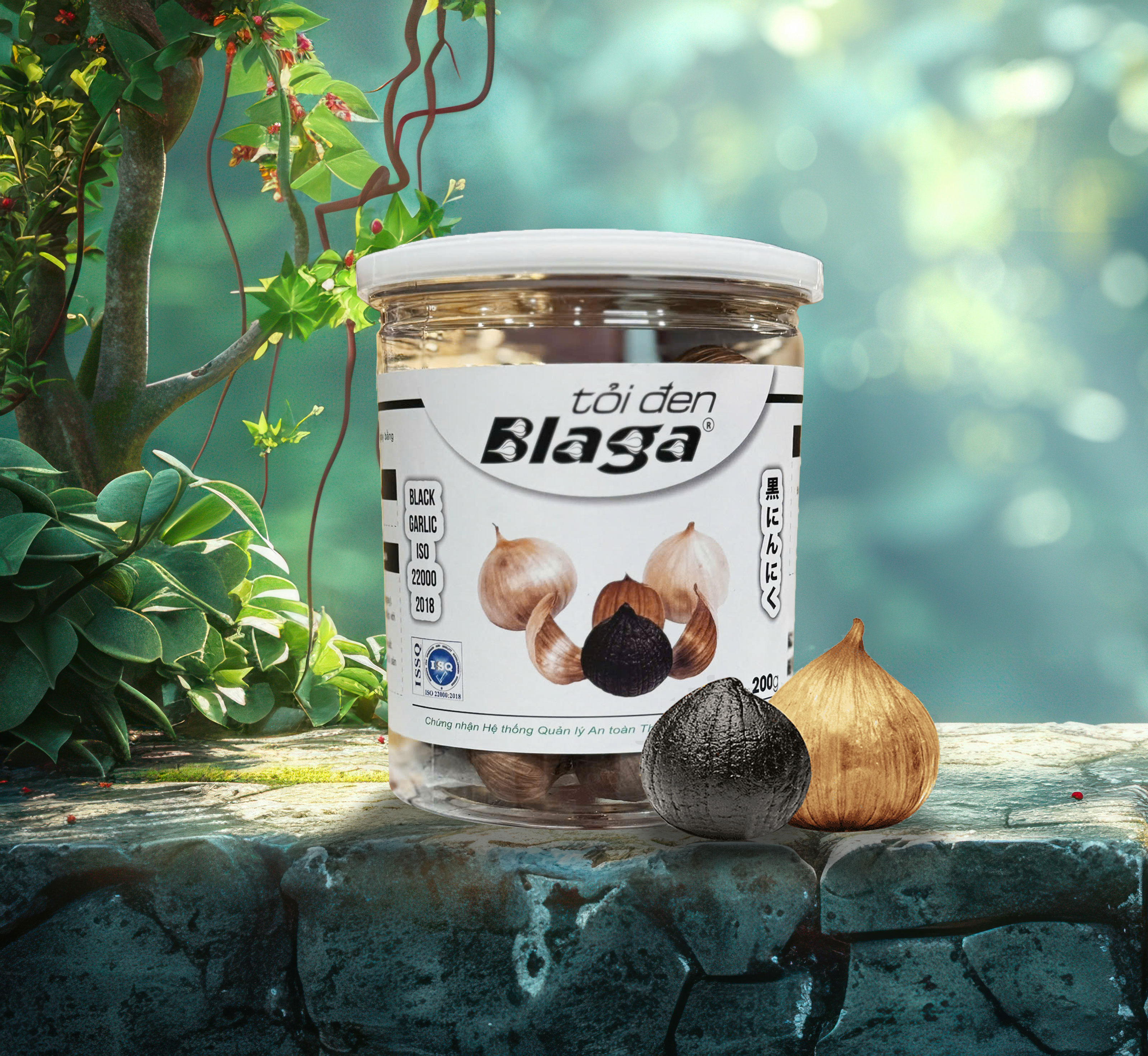 Tỏi đen Blaga Hộp 200gram - Nhất Tín Food