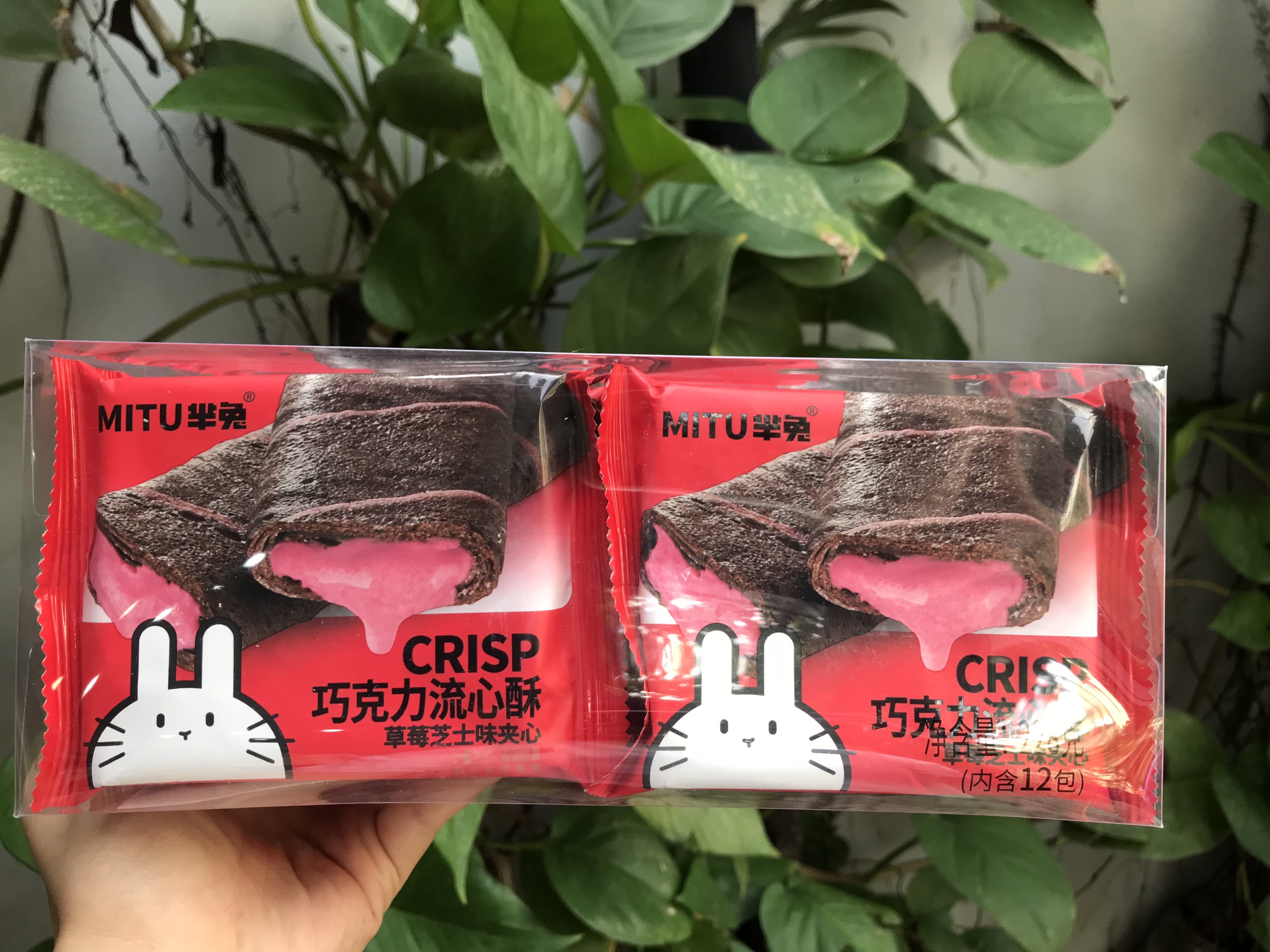Bánh crisp rong biển bánh kẹp dâu mitu đỏ
