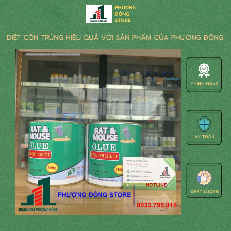 Keo dính chuột lon