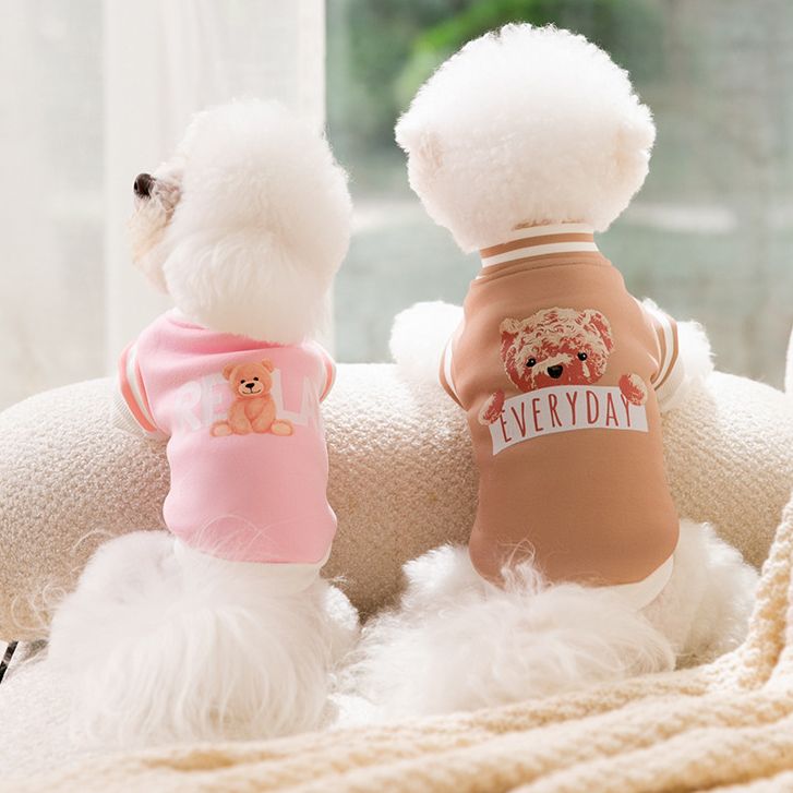 Áo nỉ hình gấu relax giữ ấm tốt cho thú cưng