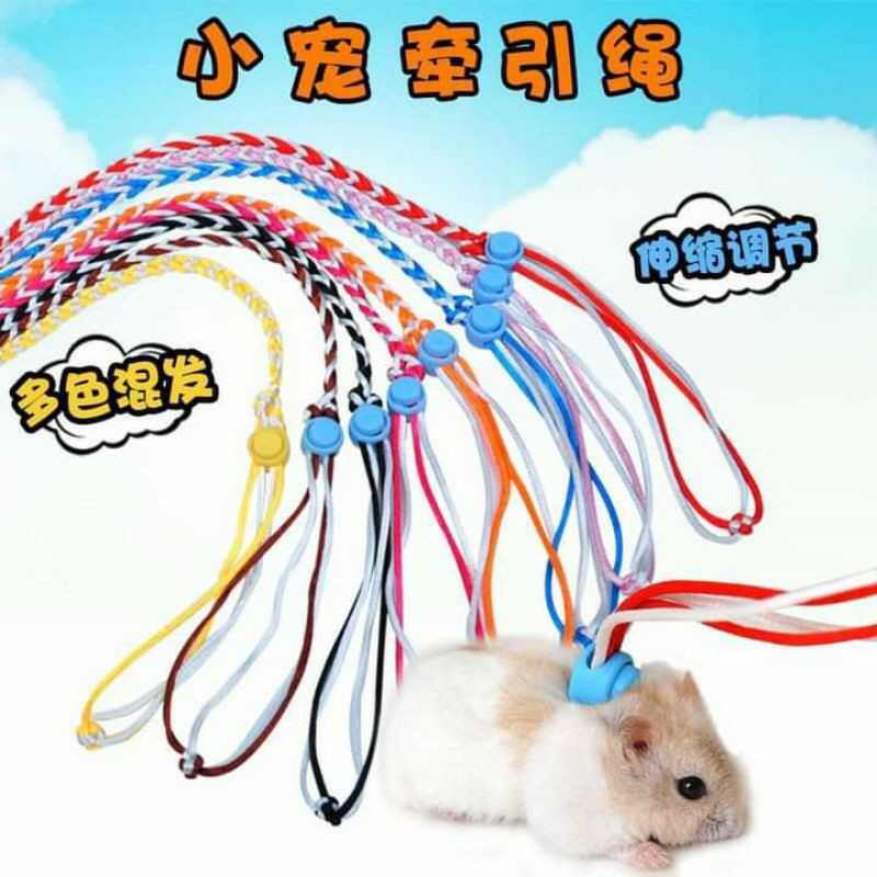 Dây dắt Hamster, thỏ, bọ và thú nhỏ