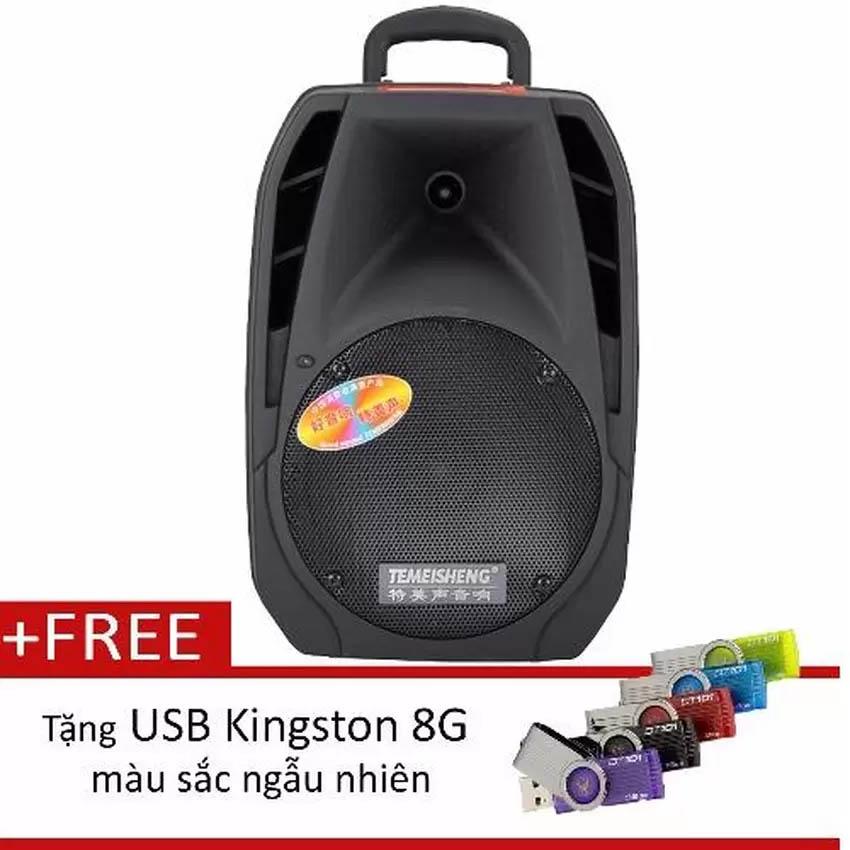 Loa kéo bluetooth temeisheng a25 + 1 micro + usb kingston