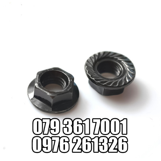 ĐAI ỐC LONG ĐỀN XI ĐEN _TÁN LONG ĐỀN XI ĐEN M4 , M5 , M6 , M8 _BỊCH 50 CON