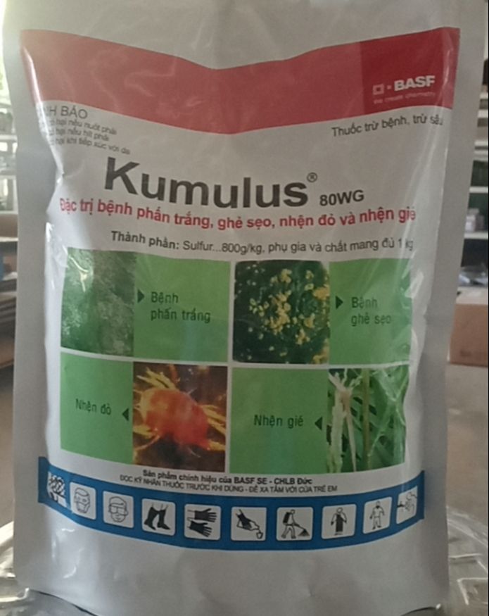 Siêu lưu huỳnh Kumulus 80WG | Phòng trừ phấn trắng ghẻ sẹo nhện đỏ nhện gié