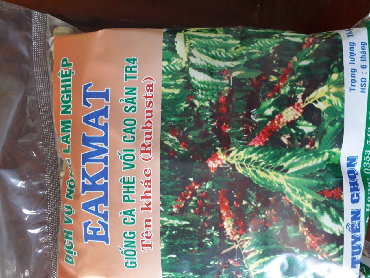1 kg hạt giống cây cà phê tr4