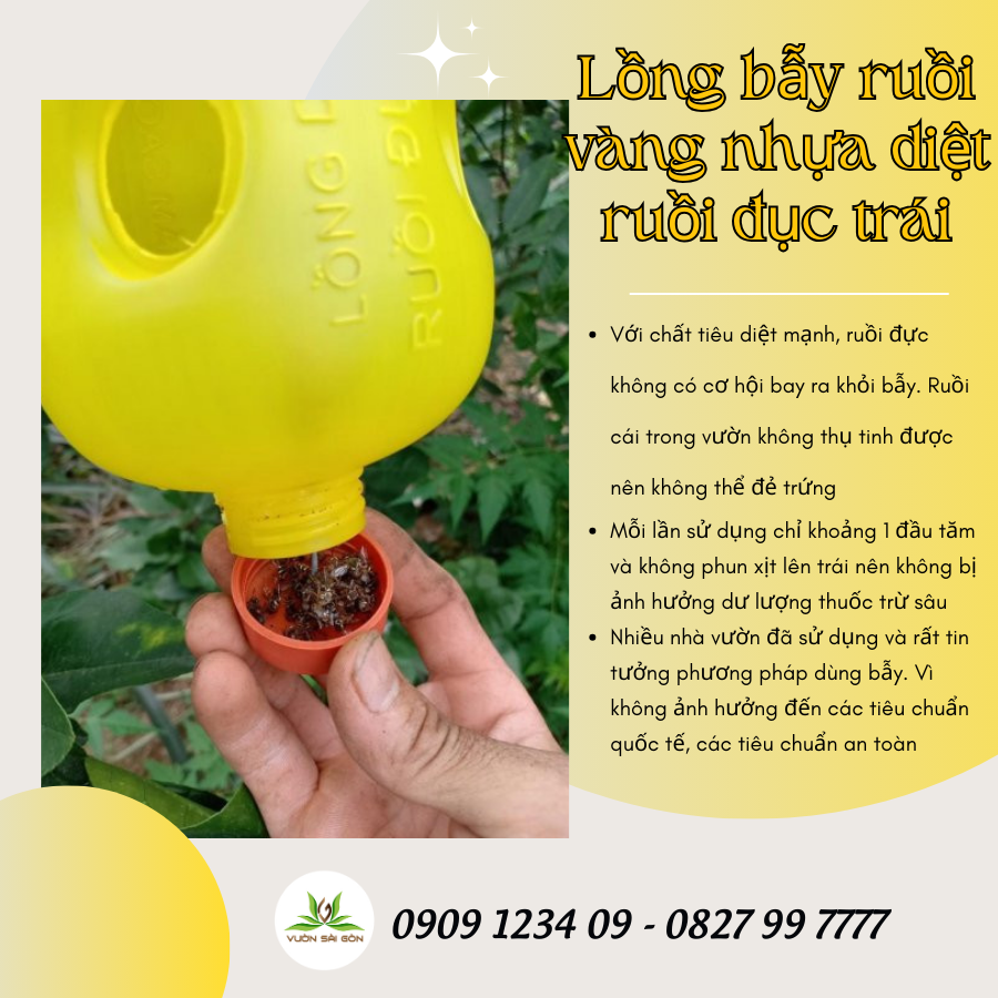 Lồng bẫy ruồi vàng nhựa diệt ruồi đục trái và Vizubon dẫn dụ tiêu diệt ruồi vàng hiệu quả, bảo vệ trái (Vườn Sài Gòn)