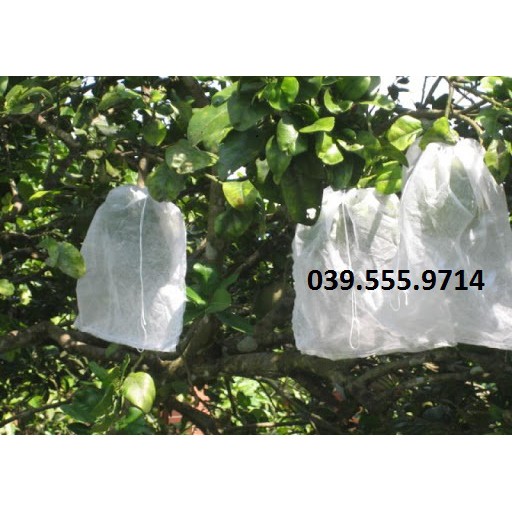100 Túi bọc bưởi chất liệu vải không dệt giúp bao bọc trái hiệu quả 30x30cm