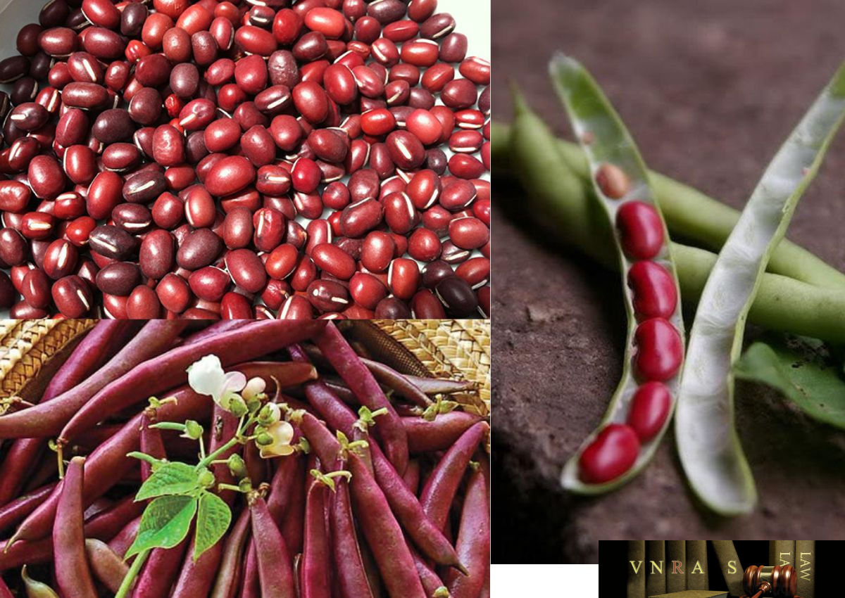 1kg Đậu đỏ hạt nhỏ Tây Bắc , đậu quê