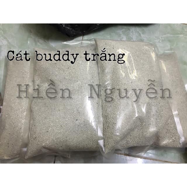 Buddy trắng lót chuồng