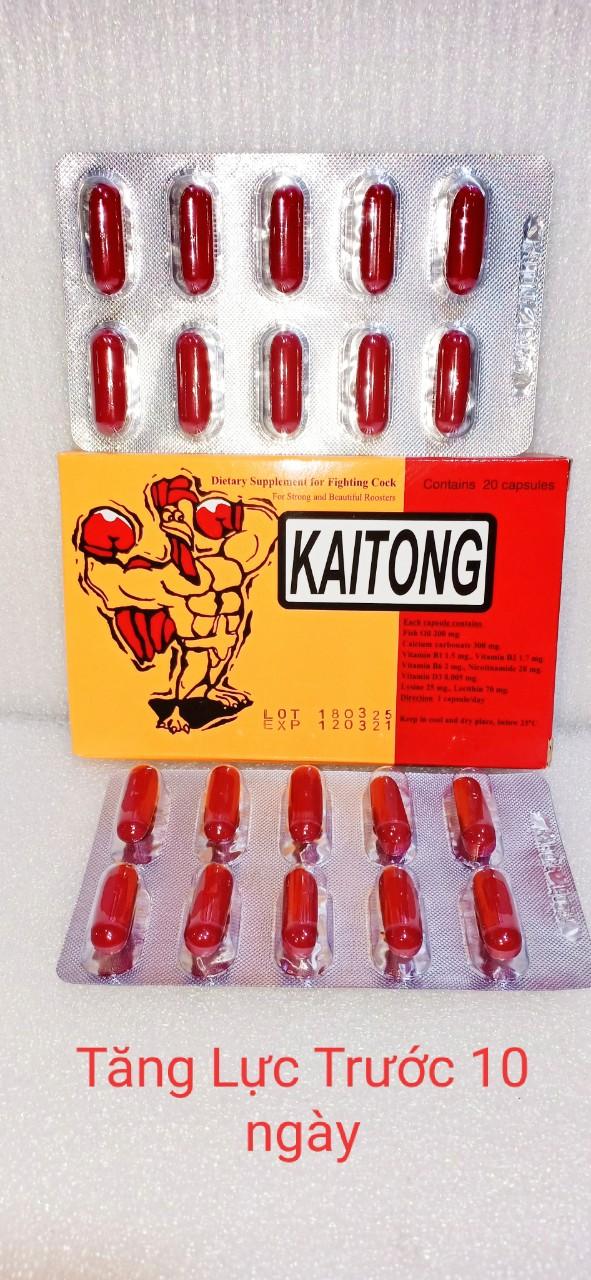 Tăng lực kaitong cho gà đòn