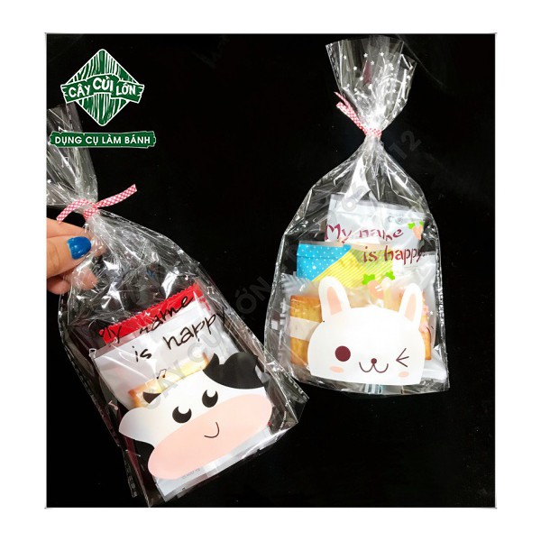 Set 100 túi kiếng kute