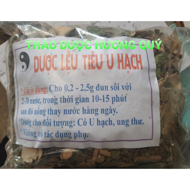 Cây tiêu u hạch