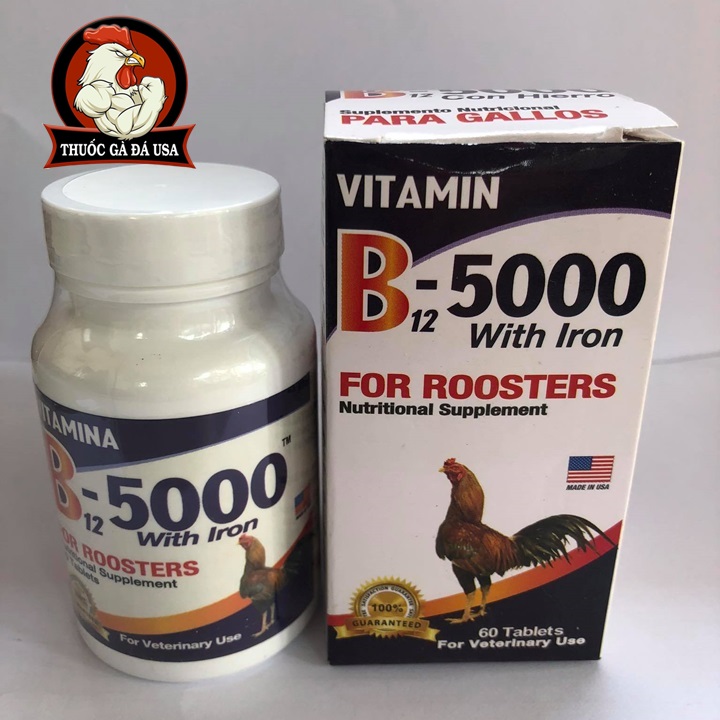 B12 5000 giup gà len nuoc mau - hủ 60 viên zin