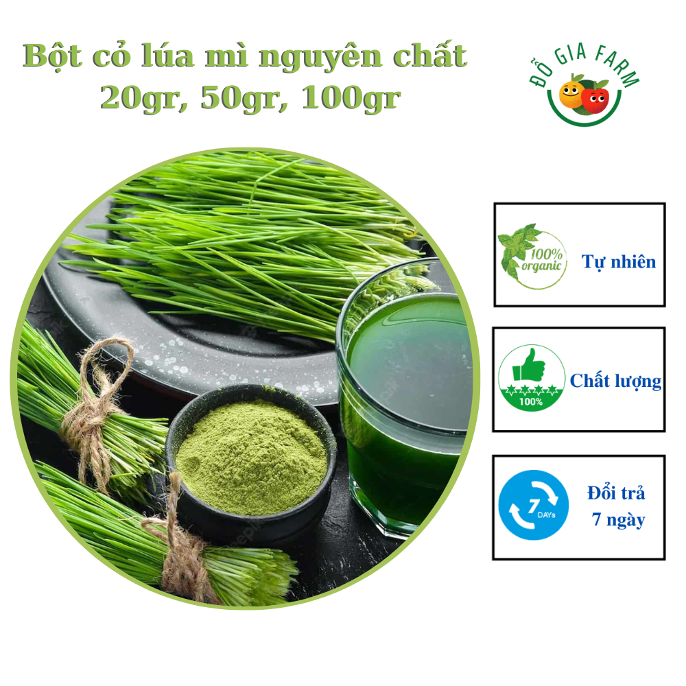 Bột cỏ lúa mì nguyên chất thanh lọc, thải độc - gói 20g, 50g, 100g