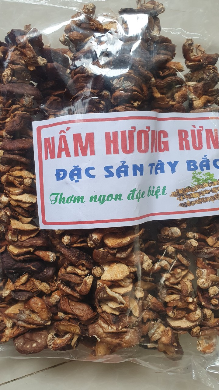 500g Nấm hương rừng xiên que - đặc sản Tây Bắc