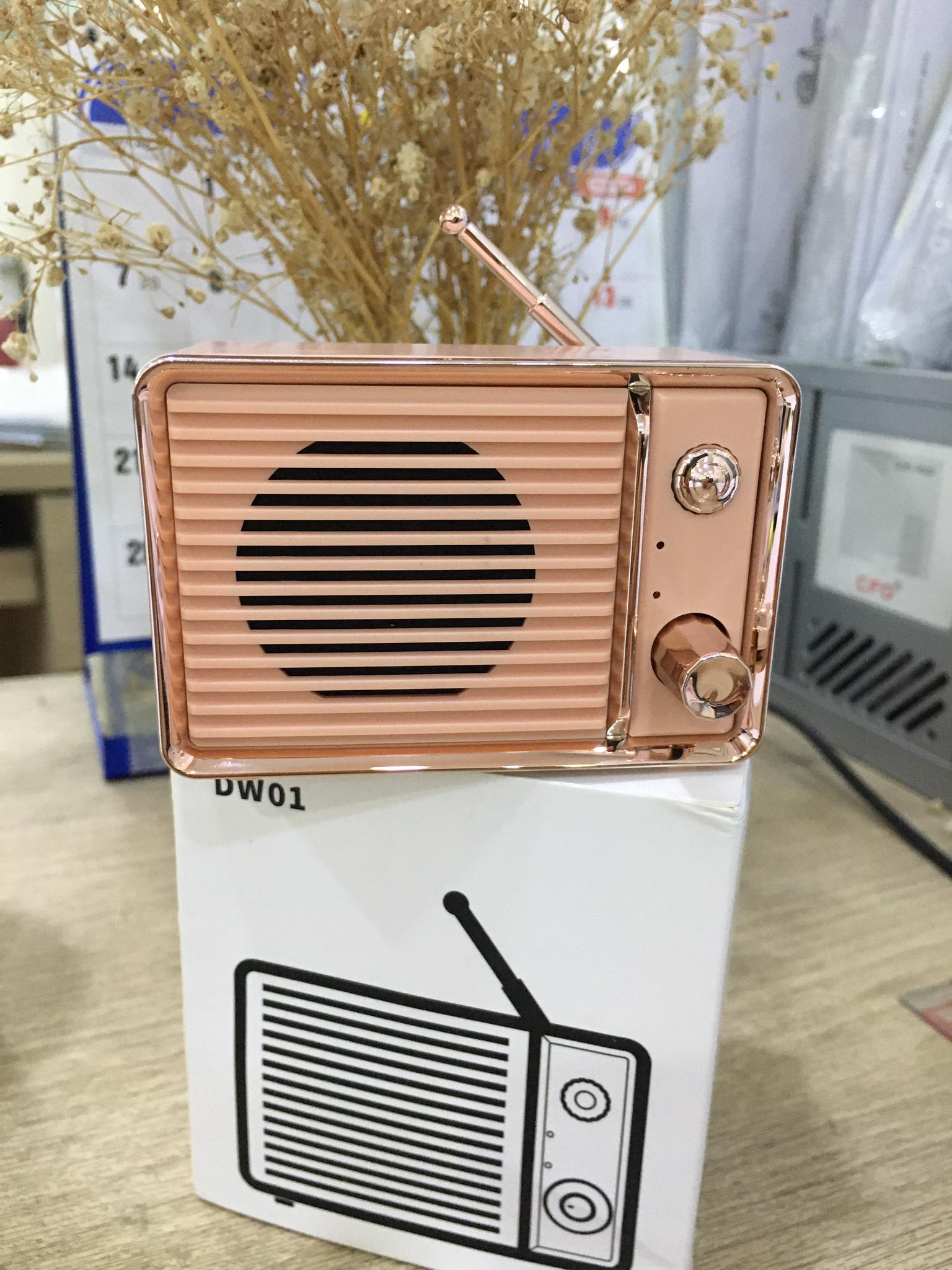 Loa radio kiểu dáng retro vintage âm thanh tốt nhỏ gọn rất xinh cute